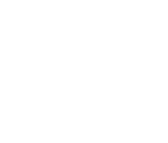 daniela_farr_logo._white